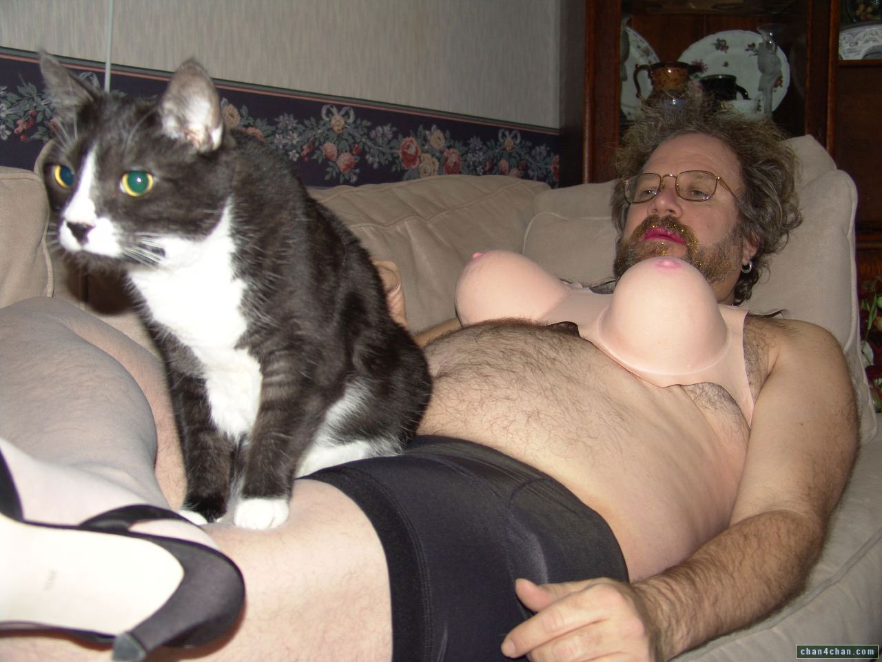 Смешные фото котов секс