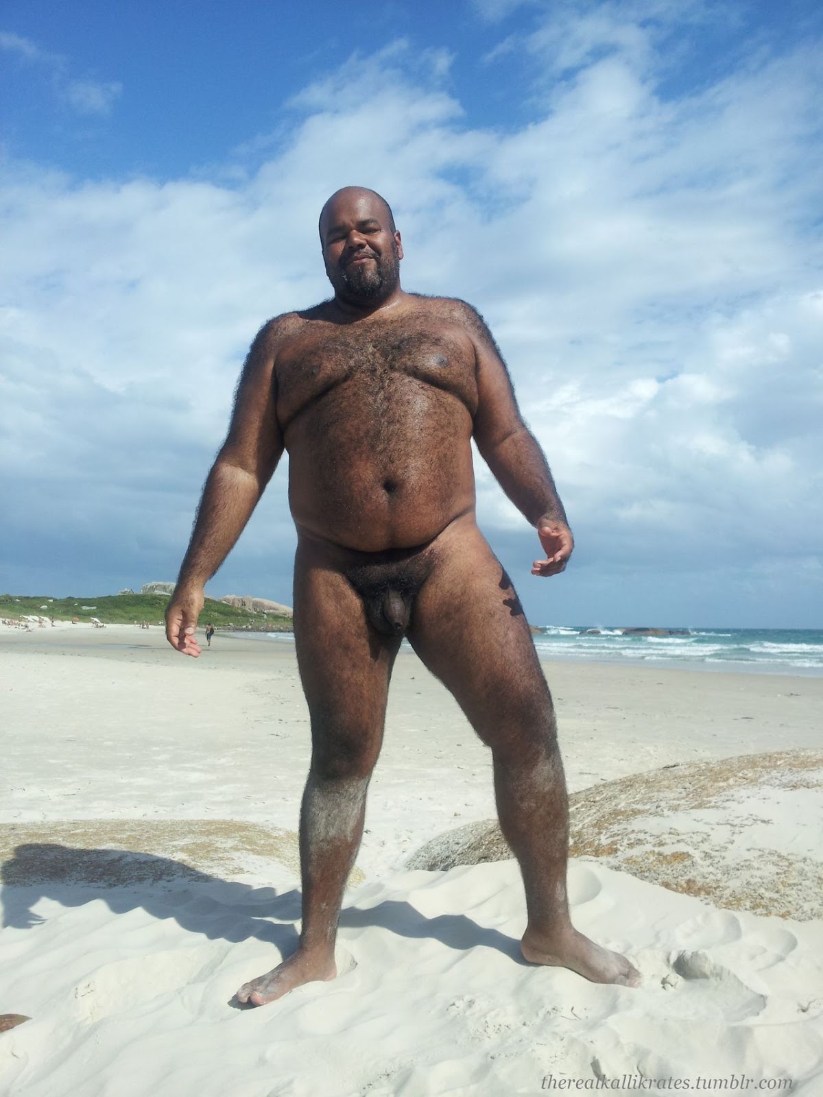 Black Chubby Gay Bear - Gay Black Bear Porn image #162346