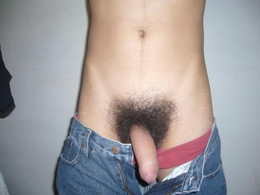 Hairy Cock - Hairy Penis Gay Porn image #70239