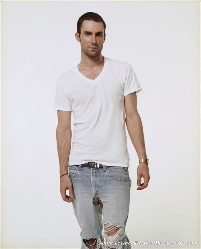 adam levine gay porn adam malestar levine