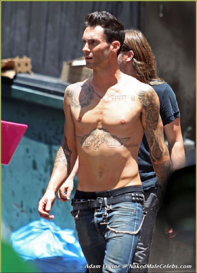 adam levine gay porn adam malestar levine