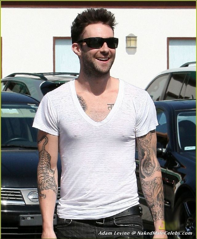 adam levine gay porn adam malestar levine