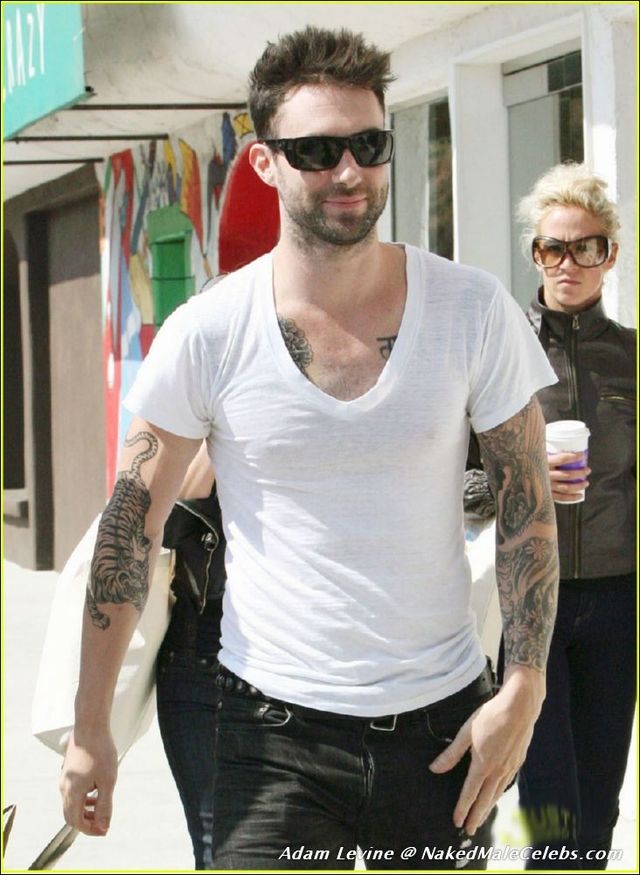 adam levine gay porn adam malestar levine