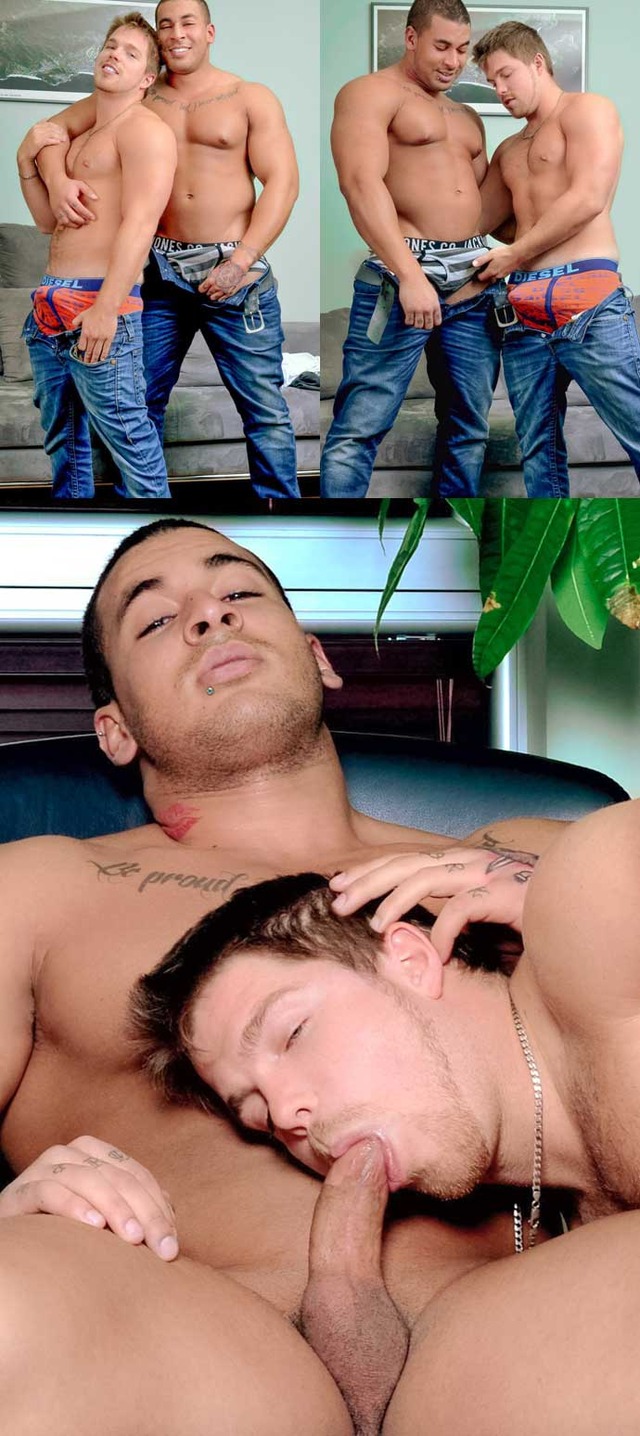 Arab gay porn Pics gay ali muscled canadian marko lebeau arab kamal