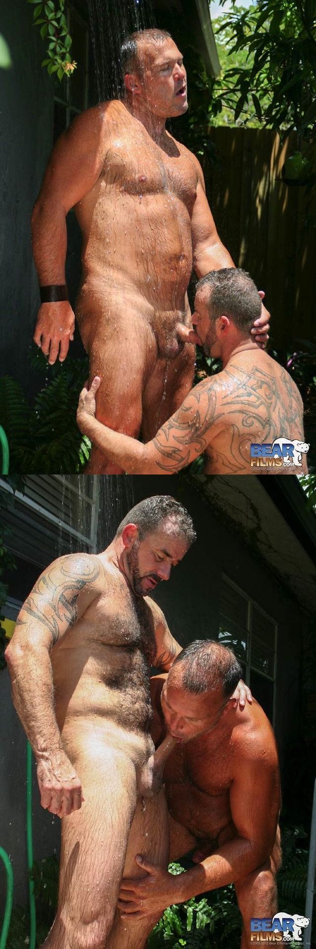 bear men gay porn porn gay guys stocky brock steve