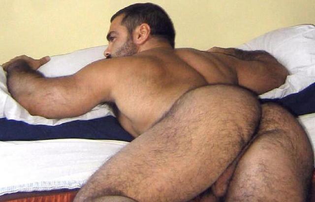bear men gay porn hairy men gay bear man ass bears