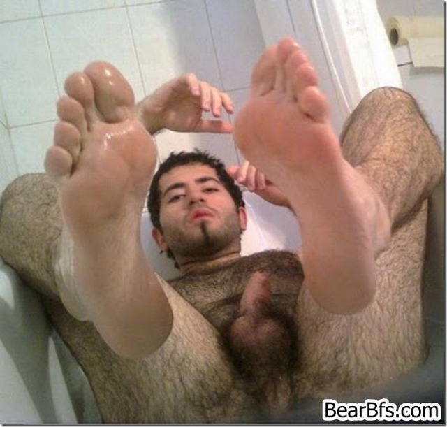 bear men gay porn men bear real muscled profiles bearbfs