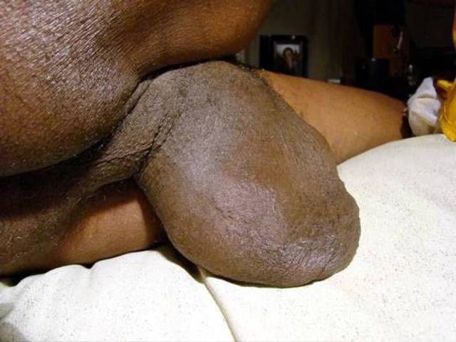 big black gay men dicks black men gay cocks hot dcc bbafd