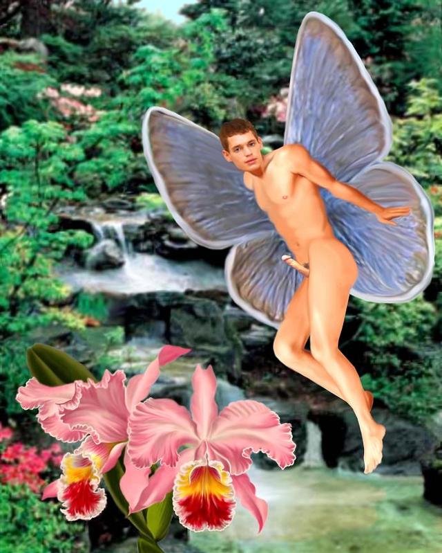 erotic Male Gay male erotic fairies