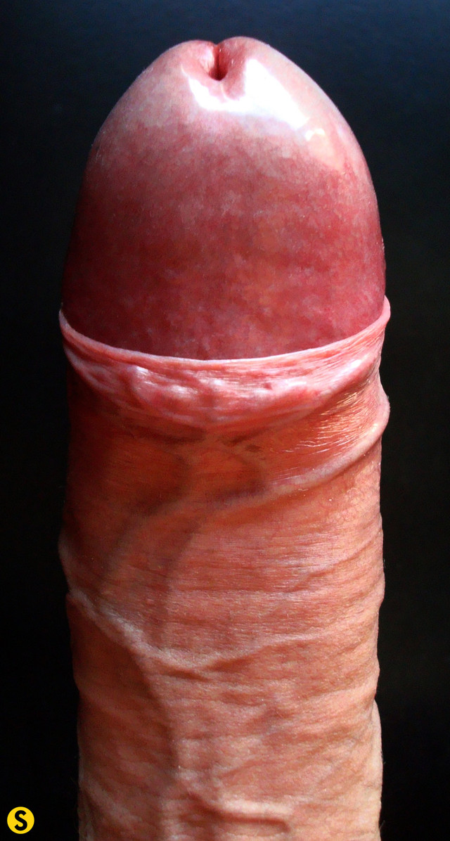 uncut cock porn cock photo uncut shemale cumshot close