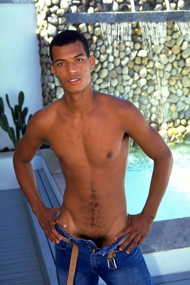 gay black sex gallery gallery galleries porn black gay dream tropical beecb zqcknhj