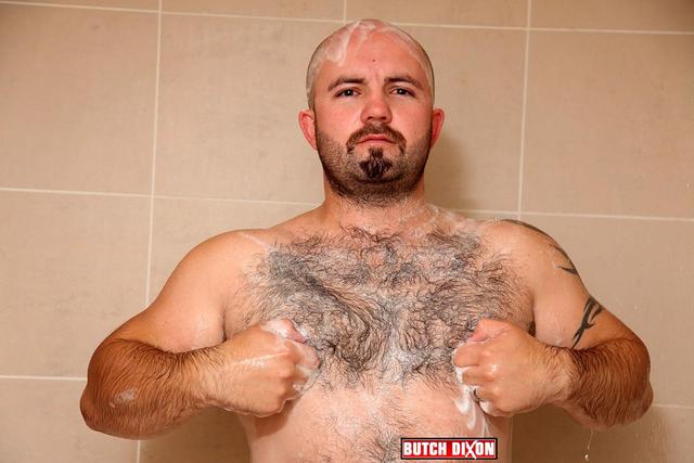 gay male porn hairy hairy porn cock his gay bear ass amateur guy uncut thick hawk butch dixon chubby plays playing tommo