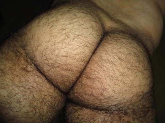 gay photo hairy hairy gay bear ass