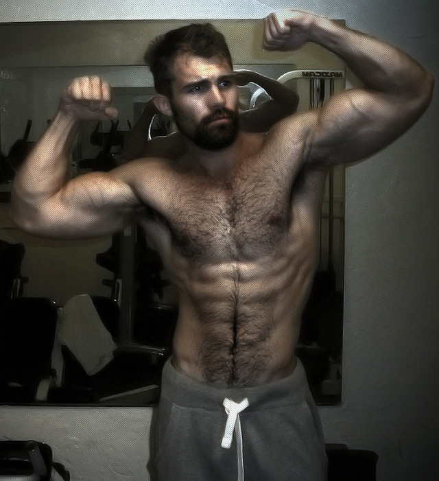 gay porn hairy hunks hairy muscular gay pics hot hunks chest nov bears incredible smm