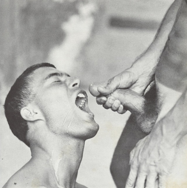 gay vintage porn Pics colt porn studios gay media original vintage falcon loops visit