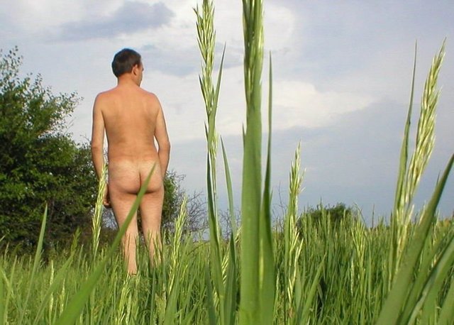 green gay porn Picture galleries gay green xxx stowe