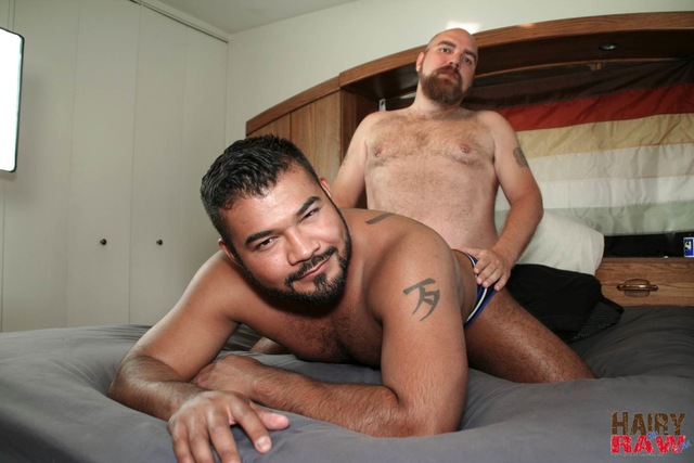 hairy bear gay porn hairy porn gay amateur barebacking raw bears interracial vega russo chubby rico pigs