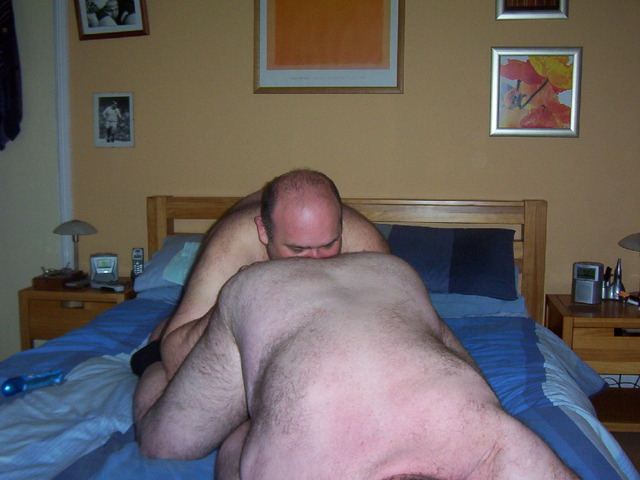 hairy bear gay porn hairy bear older