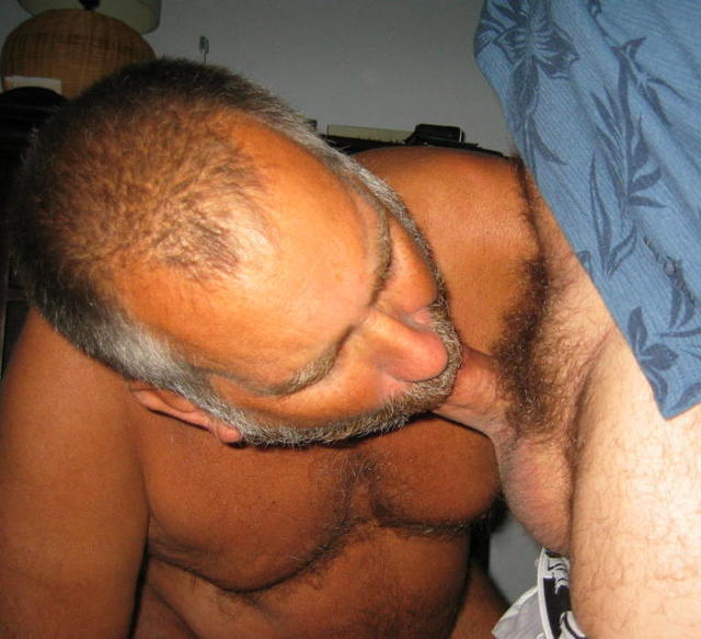 hot older men gay porn men naked gay nude hot furry daddies haired mature grey