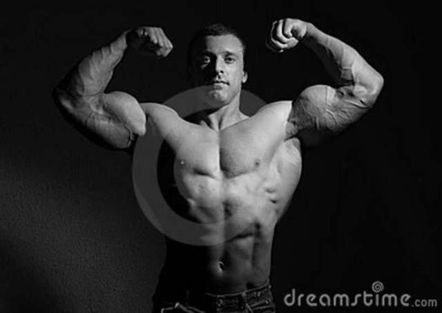 male naked bodybuilders muscle model male free photography stock royalty