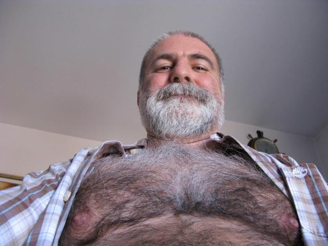 mature bear gay pics hairy gay bear chest mature