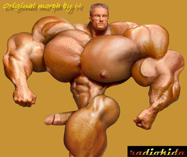 naked male bodybuilder gay pics male nude bodybuilder morph