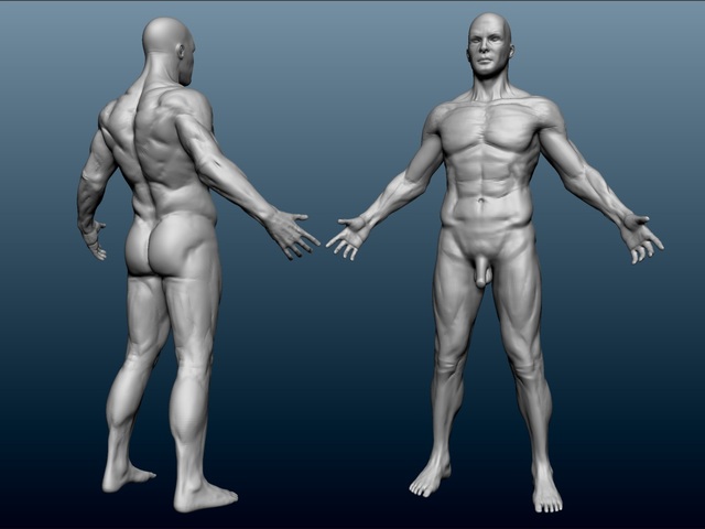 naked male pictures naked male test sculpt