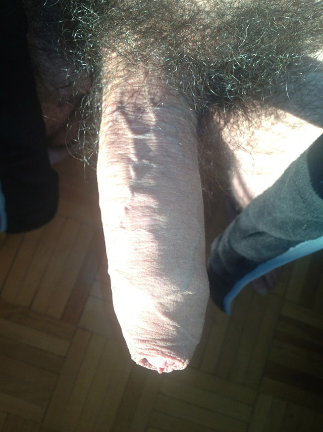 pics of hairy cocks hairy dick guy hot close zoom