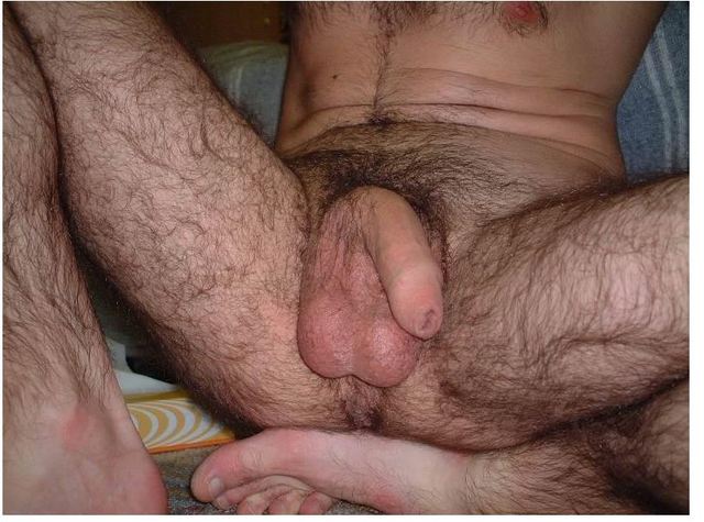 pics of hairy cocks hairy cock man uncut hotblog