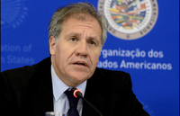 Latin Gay Pics luis almagro average trans woman latin america will die aged