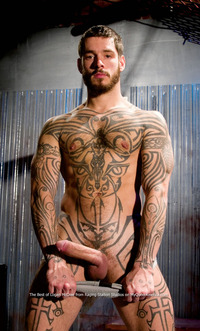 Logan McCree Porn logan mccree main raging stallion