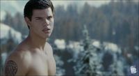 Taylor Lautner Gay Nude galleries taylor lautner