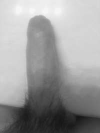 xxx uncut cock 