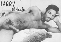 Big dick Male Gay Porn larry retro vintage gay erotica porn cock facial hair ass butt nude men