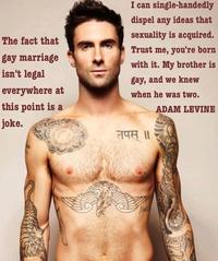 adam levine gay porn fba ffced