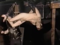 alpha porn gay videos screenshots preview vintage gay suspend fist