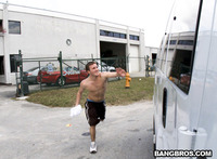 bait bus gay porn data media original baitbus bait bus gallery