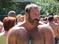 bear porn pics dfa photos cougpdx