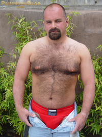 bear porn pics dave pantheon bear hairy goatee sexy hot ass jockstrap cock ring football jersey beefy stocky gay porn paw tattoo boots jeans anna paquin nude videos pics from blood november