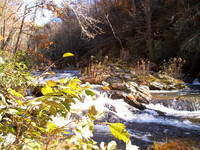 best free gay male porn trailpictures mike dante bottom creek gorge