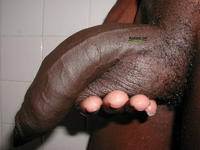 big black cocks free gay porn gay porn huge black cock cocks monster dicks pictures