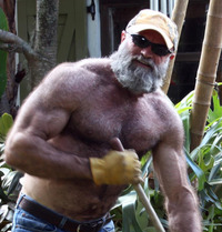 big gay daddy porn daddy bear gay ass hairy musclebear muscled beefy nude