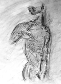 black males nude pics medium large charcoal classic jesus male nude looking over shoulder sketch sensual primal erotic black white zimmerman featured