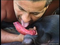 gay black male sex Pics zoo pics man fuck real dog