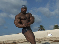 gay bodybuilder sex gay muscle pics bodybuilder feed