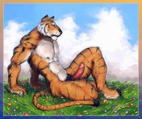 gay cartoons porn Pics media gay furry porn cartoon pics