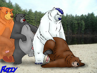 gay chubby bear sex rule