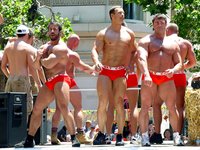 gay dudes colt guys san francisco gay parade senator panetta explain armys