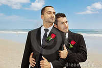 gay men free pic gay grooms royalty free stock photography