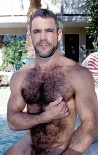 gay photo hairy screen gay hairy bear model totally naked
